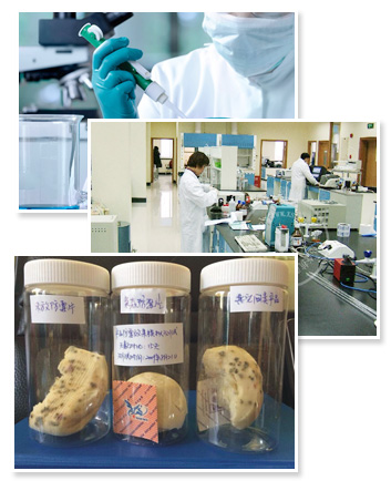 防（fáng）黴片和（hé）幹燥劑的區別