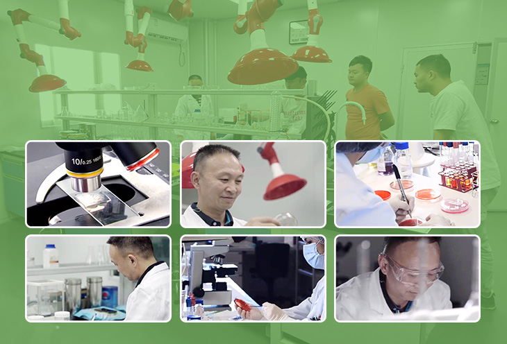 如何選擇質量好的防黴（méi）片呢？